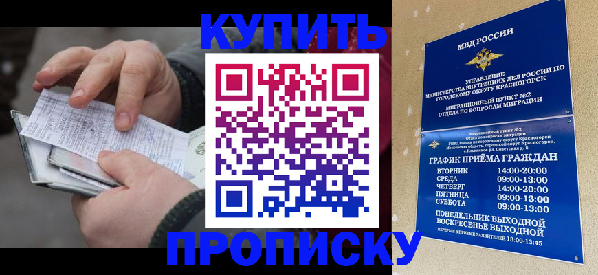 временная регистрация недорого в Дубне